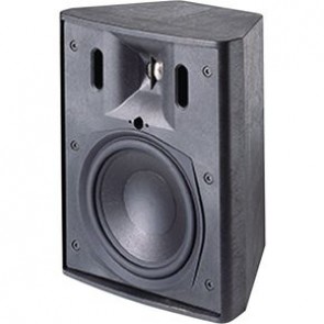 Control 25T Indoor/Outdoor Background/Foreground Speaker
